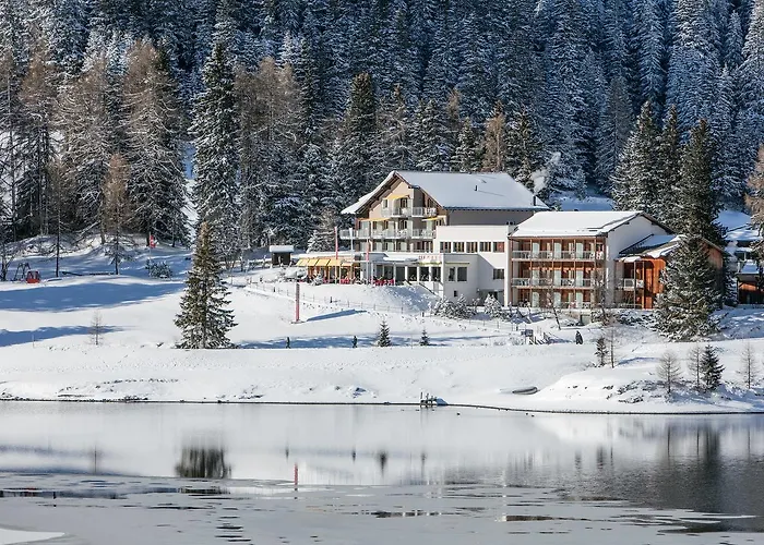 希布尔酒店 酒店 达沃斯