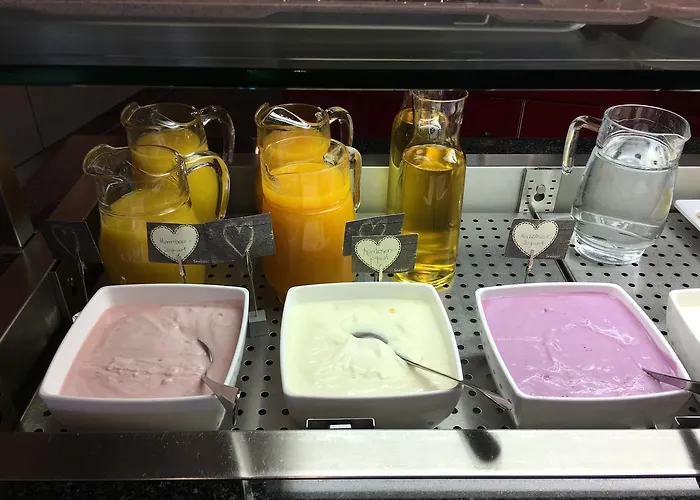 酒店 希布尔酒店 达沃斯